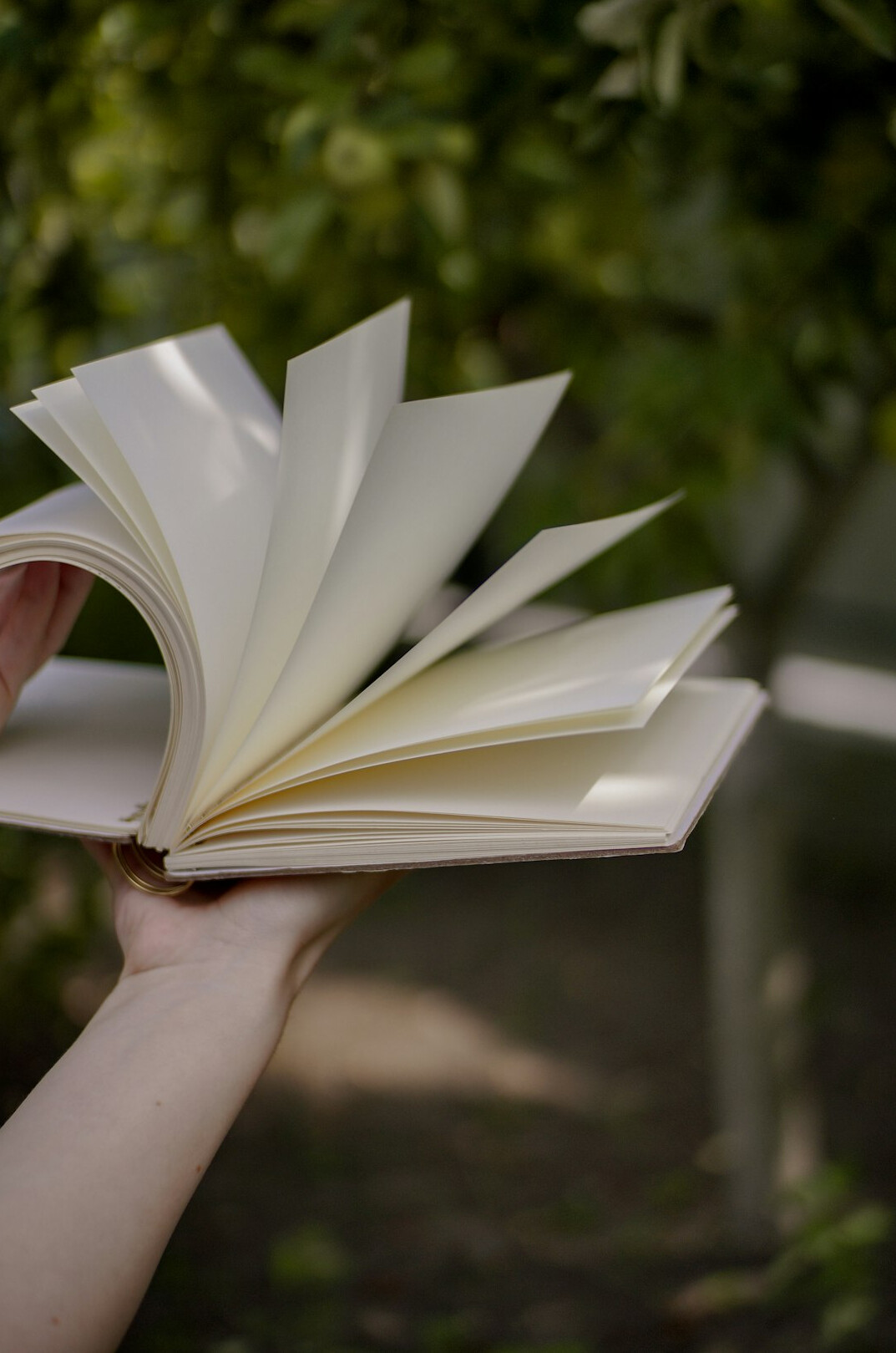Hand writing in a notebook with a pen