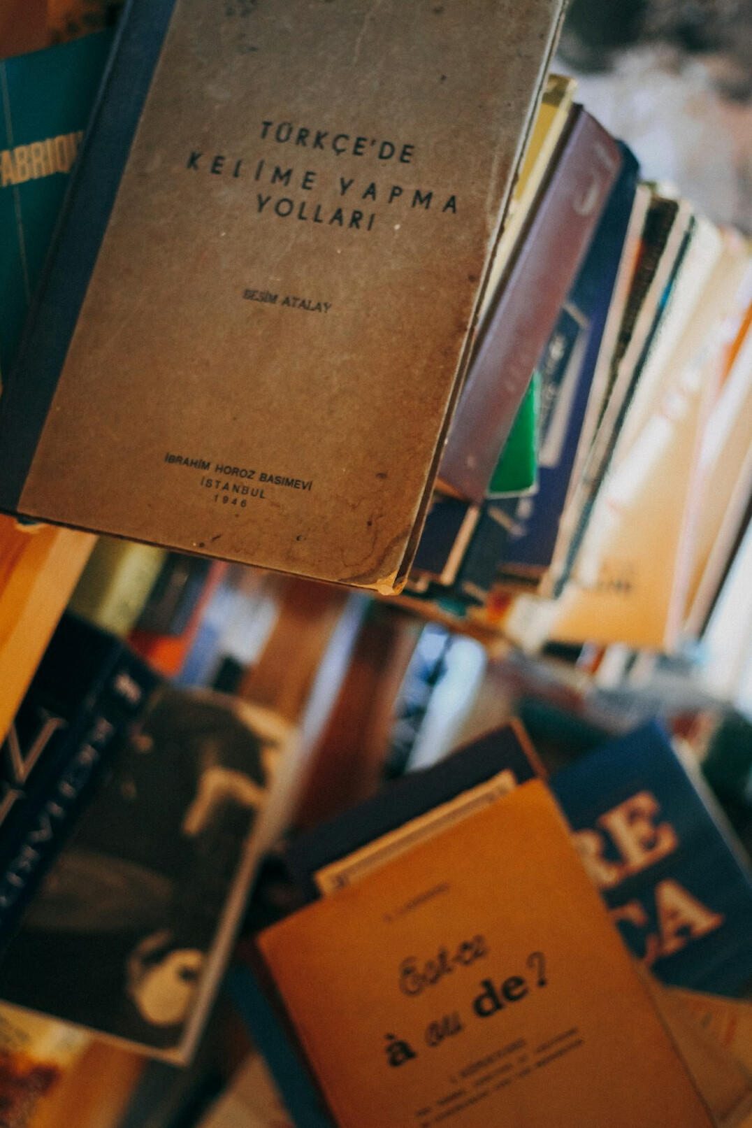 portuguese language book