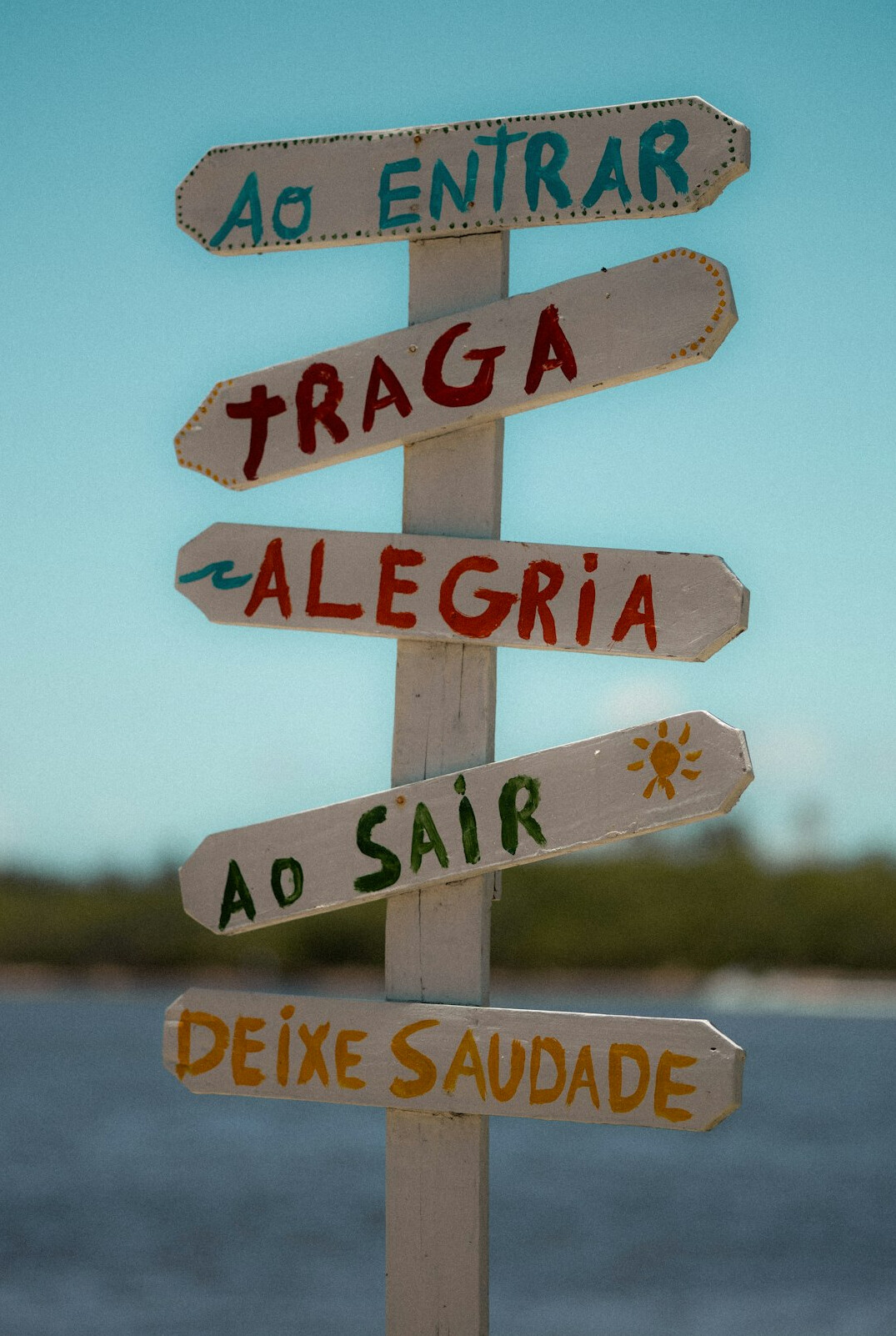 portuguese language book